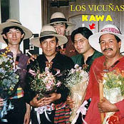 los vicuñas