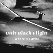 The Art Of Survival by Unit Black Flight