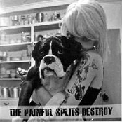 The Painful Splits Destroy