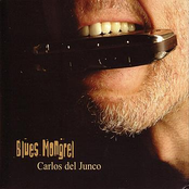 Carlos Del Junco: Blues Mongrel