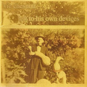 In Amongst The Millions by Vic Chesnutt