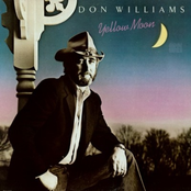 Pressure Makes Diamonds by Don Williams