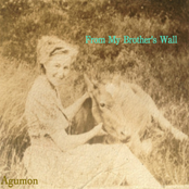 from my brother's wall