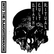 INTO THE SLAUGHTERHOUSE