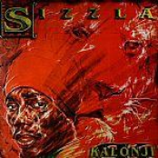 Dem A Try A Ting by Sizzla