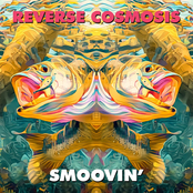 Smoovin'