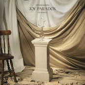 Joy Paradox (The Remixes)
