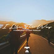 I Like the Way - Single