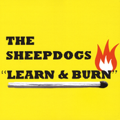 The One You Belong To by The Sheepdogs