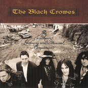 Hotel Illness by The Black Crowes