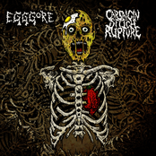 Egggore / Capsaicin Stitch Rupture
