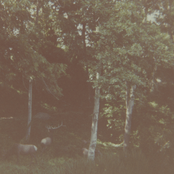 Famous Tellings Of A Noble Sun