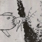 Aspergers / Lost Generation, Last Revolution Split