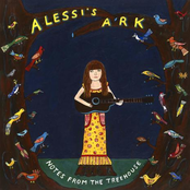 Notes From The Treehouse