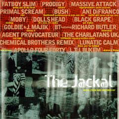 Jackal