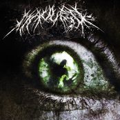 Mauled: TheLastThingYouSee