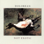 Dolorean: Not Exotic