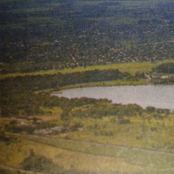 Session - Green Fields