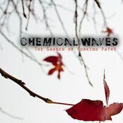The Origin by Chemical Waves