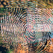 Everything Was Supposed To Be So Easy