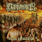 Visual Antagonism