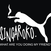 What are you Doing My Friend ?