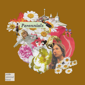 Perennials