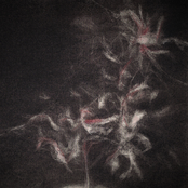 Shitshitshit [japanese death poem]