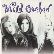 Wild Orchid