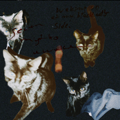 Waking Up By My Black Cat's Side