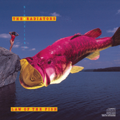 The Radiators: Law Of The Fish