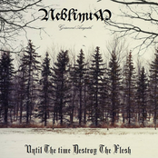 Until The Time Destroy The Flesh