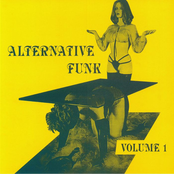 Alternative Funk - Volume 1