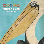 Cosmo Sheldrake