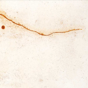 Wings of Lead Over Dormant Seas