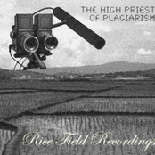 Rice Field Recordings