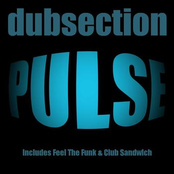 The Dubsection