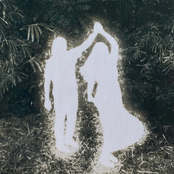 Sam Blasucci: ORCHIDS