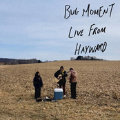 Bug Moment Live From Hayward