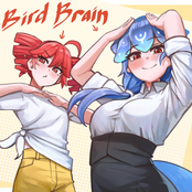 BIRDBRAIN