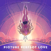 Picture Perfect Love - Single