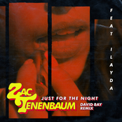 Just for the Night (David Bay Remix)