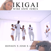 Ikigai (wine slow remix)