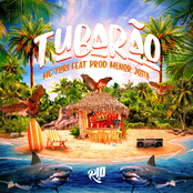 Tubarão