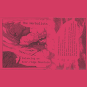 Balancing on Kcor-Ridge Mountain