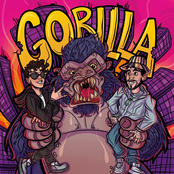 GORILLA