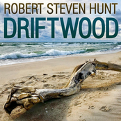 Chris Mitchell: Driftwood