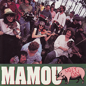 Big Mamou by Mamou