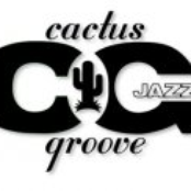 Cactus Groove