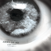 Fake Ugly by Army Of Me